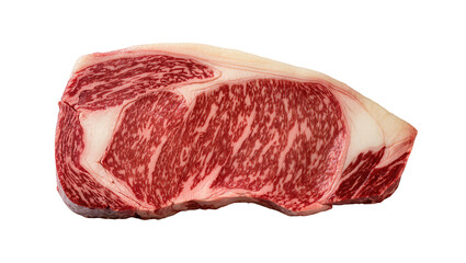 Fototapeta premium Isolated fresh prime raw Wagyu beef steak cut with intense marbling for gourmet cooking