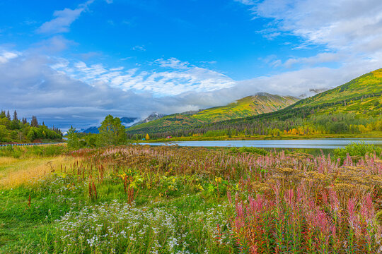 Colorful wildflowers and grasses fill the foreground beside a tranquil lake, with rolling green mountains rising beneath a mix of blue sky and low clouds. 