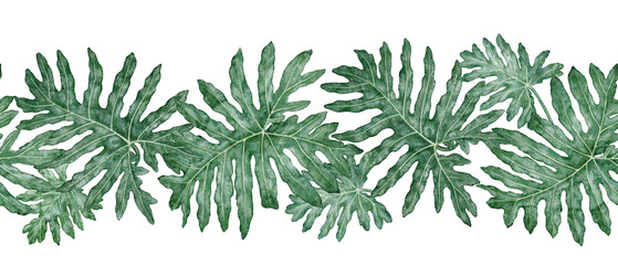 Tropical leaves seamless border of Philodendron Selloum watercolor botanical illustration. Hand drawn green foliage template with realistic plant texture. Nature indoor shrub garland for card design. © NadyaSaen 