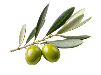 Isolated two vibrant green olives on an olive tree branch with fresh leaves, Mediterranean © Ciara