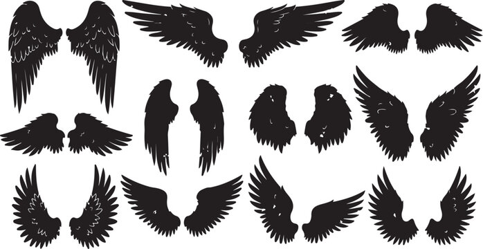 Collection of black bird wings on white background
