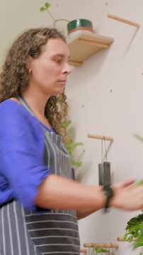 Arranging potted plants, person in blue long-sleeve shirt and striped apron working on wall shelves