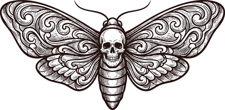 Ornate Death's-head Hawkmoth Illustration with Filigree Wings.