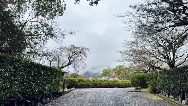 Quiet paved path through a landscaped Japanese temple garden