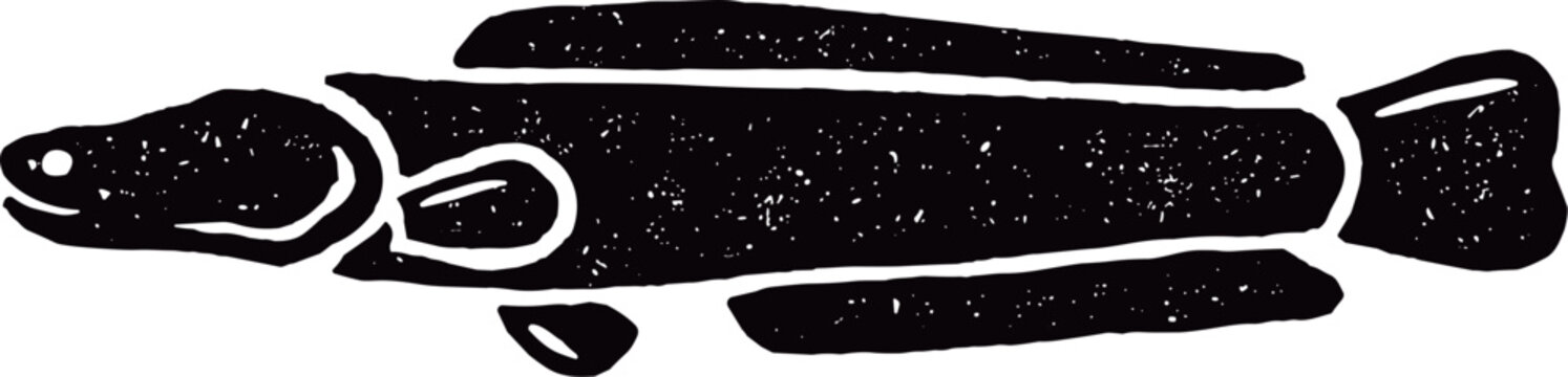 Giant Snakehead Fish Linocut Style Illustration 