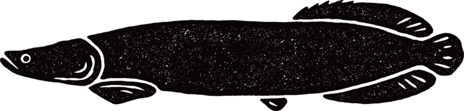 Arapaima Fish Linocut Style Illustration 
