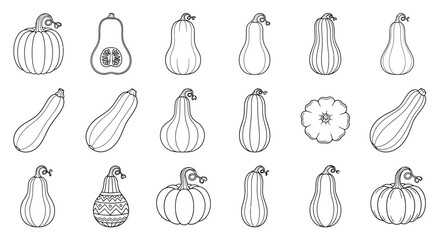 Detailed Line Art Collection of Diverse Autumn Harvest Gourds and Squashes Outlines A Variety of Seasonal Vegetables for Design Projects © PixelSingleStudio
