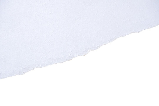 white torn paper with empty space transparent