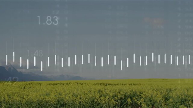 Displaying translucent white bars, polyline and labels over yellow canola field and blue sky