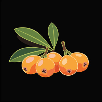 Pixel Art Loquat Fruit Vector Illustration With Leaves On Black