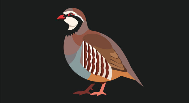 Pixel Art Partridge Bird Vector Isolated On Black Background Flat Design