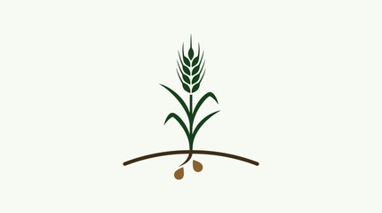 Fototapeta premium Wheat Plant Logo or Symbol on White