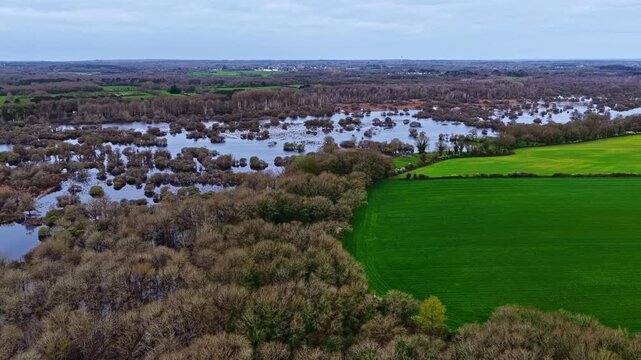 Flooded marsh wetlands and bright green agricultural field edge in Briere Regional Natural Park France, aerial dolly
