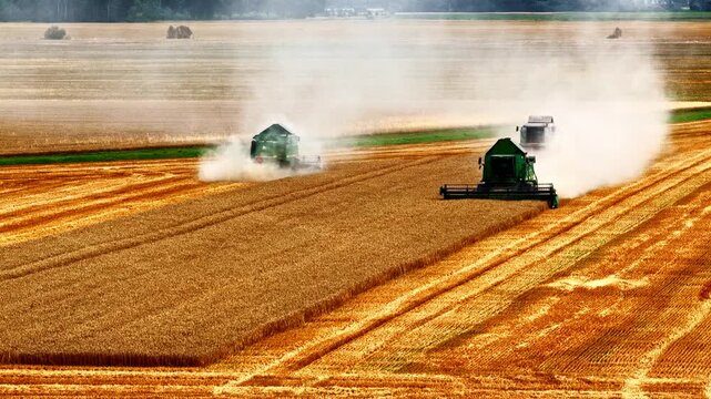 Multiple combine harvesters cut ripe wheat across a golden field, raising huge dust plumes in summer&mdash;wide aerial agriculture scene of harvest and food production.