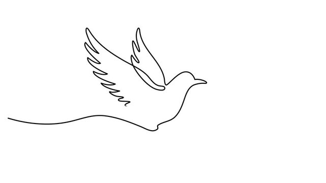 Animated continuous one line drawing of Minimalist dove flying, simple line art, black and white illustration, peaceful symbol