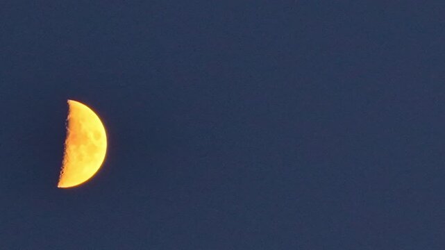 Half moon glowing against clear evening sky with detailed lunar surface visible in night atmosphere