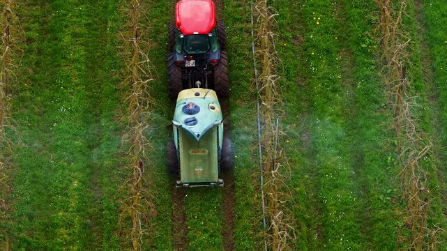 Aerial drone tracking shot following red tractor with sprayer moving through green crop rows with vertical support poles, dispersing pesticide mist across lush farmland in Latvia