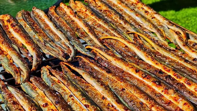 Sunny extreme close-up reveals dozens of golden-charred whole grilled lamprey tightly arranged on metal barbecue grill grate at traditional Latvian outdoor street food market