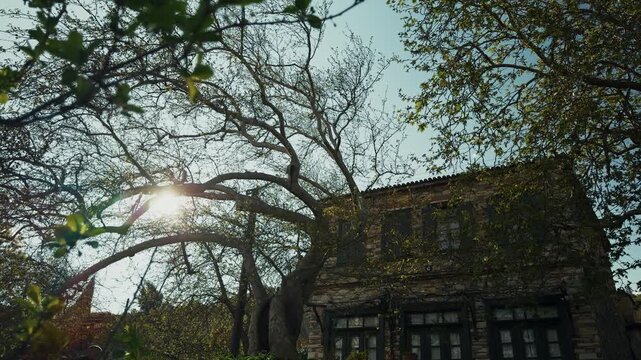 Authentic Stone House Surrounded By Green Trees In Domatia