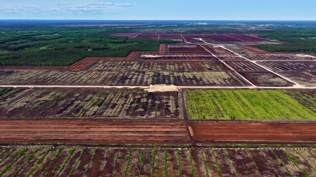 Aerial view of a vast, industrial peat extraction site