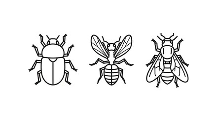 Obraz premium Set of three insect icons: beetle, bee, and fly, line art, isolated on white background.