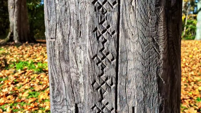 Close-up of carved Latvju zimes on a weathered wooden post, with autumn leaves blurred in the background. Traditional Latvian folk symbol texture and heritage detail.