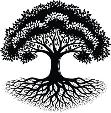 Intricate black and white tree of life illustration with detailed roots
