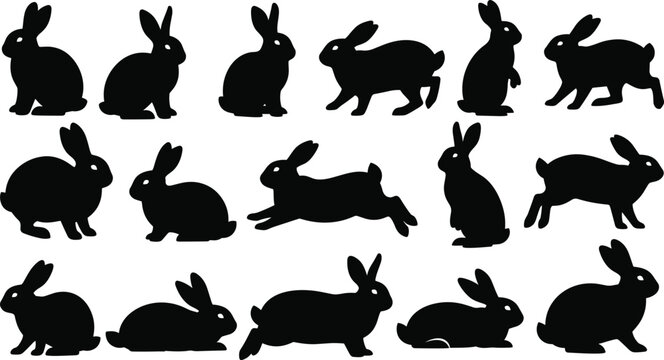 Rabbit silhouettes collection with different poses, detailed bunny animal vector set isolated on white background for design use