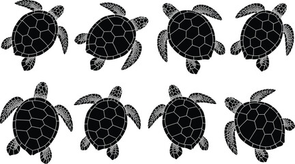 Sea turtle silhouettes collection with detailed shells and flippers, marine animal vector set isolated on white background for ocean design © mokbul
