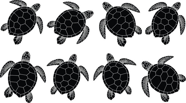 Sea turtle silhouettes collection with detailed shells and flippers, marine animal vector set isolated on white background for ocean design