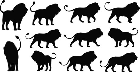 Obraz premium Lion silhouettes collection with different poses, detailed wild animal vector set isolated on white background for wildlife and safari design