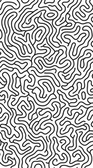 Fototapeta premium Abstract black and white labyrinth pattern with flowing tangled lines for design and texture.