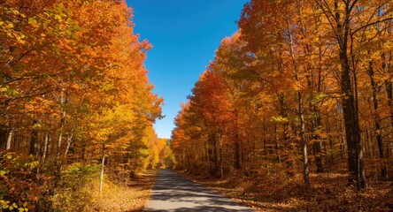 Fototapeta premium Sunny fall forest path with no traffic amid vivid autumn leaves beneath clear blue sky