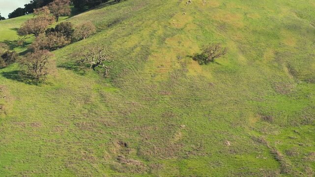 Clouds over a Green Hilltop Timelapse