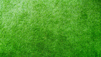 Fototapeta premium Top view of green grass background. Green turf