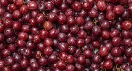 Fototapeta premium Close up of freshly picked red grapes arranged in a decorative pattern with copy space top view