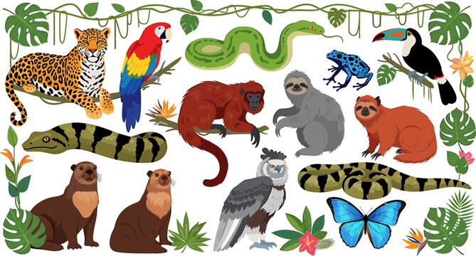 Tropical Jungle Animal Illustration: Colorful Wildlife with Exotic Plants and Creatures