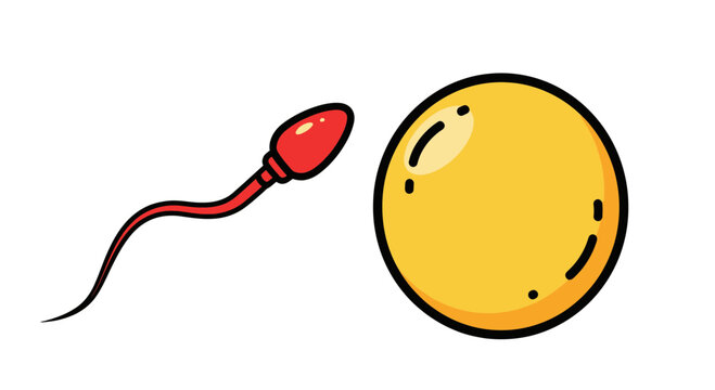 Sperm cell approaching egg cell for fertilization, science illustration