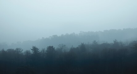 Fototapeta premium Foggy morning panorama with dark trees and dense mist cover