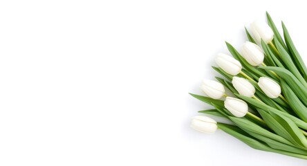 Fototapeta premium White tulip flower bouquet aligned right on a white backdrop with overhead view and text space ideal for wedding decoration themes