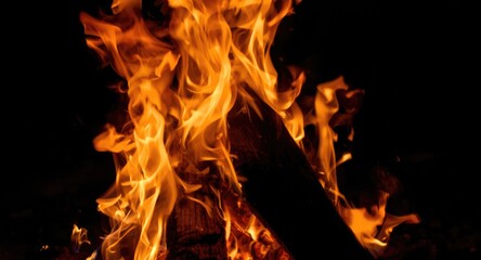 Obraz premium Close up view of vibrant campfire flames with warm hues
