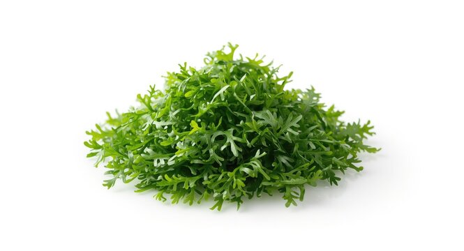 Light and crispy seaweed snack with a bright white studio background