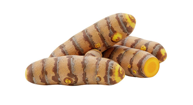 Turmeric roots, whole and cut, on white background