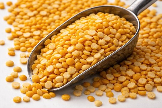 Close up of split yellow lentils in a metal scoop with scattered pulses on a white background featuring Toor dal and Chana dal varieties