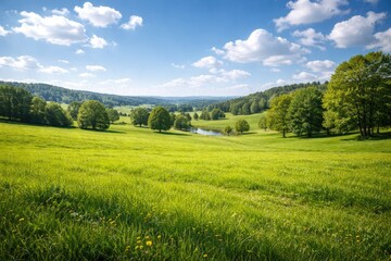 Fototapeta premium Scenic natural landscape with vibrant green meadows and ample copy space