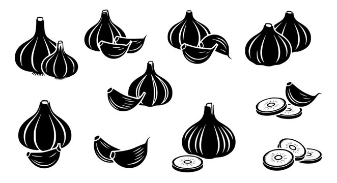 Garlic Infographic Vector Icons &ndash; Recipe & Nutrition Layout