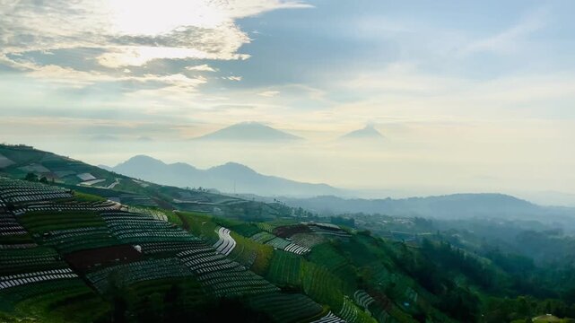 Panorama of Mount Sumbing vegetable terraces at misty sunrise