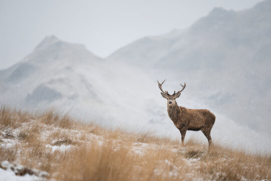 drones are highresolution imagery for photogrammetry of historical buildings