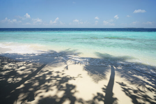 Beach with palm trees shadow and ocean, Maldives