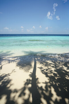 Beach with palm trees shadow and ocean, Maldives